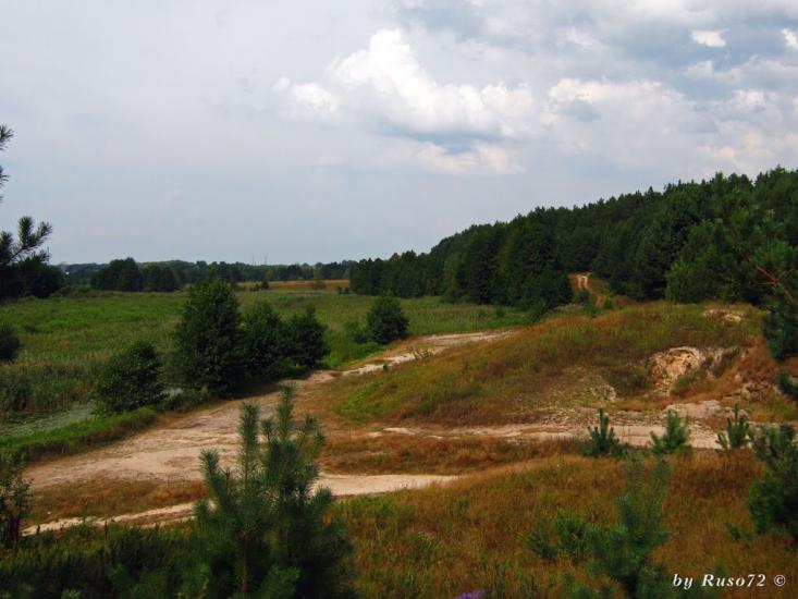 Рожів з panoramio.com - Рожев