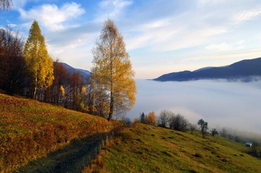 Кваси з panoramio.com - Квасы