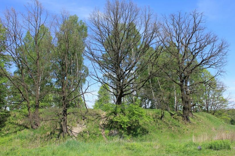Олевськ з panoramio.com - Олевск