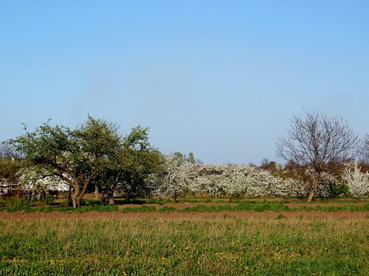 Кинашів з panoramio.com - Кинашів