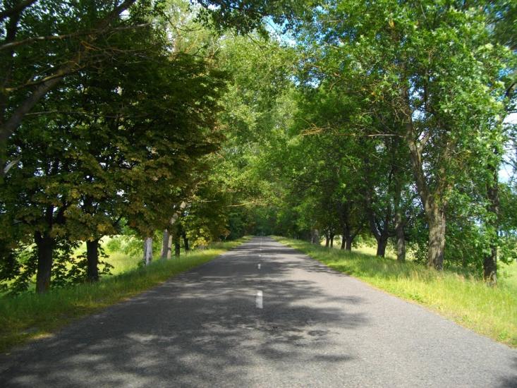 Ситниця з panoramio.com - Ситниця