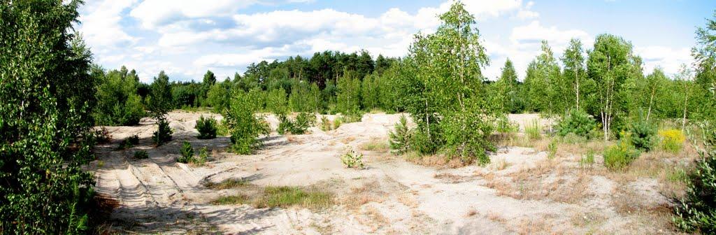 Стригани з panoramio.com - Стриганы