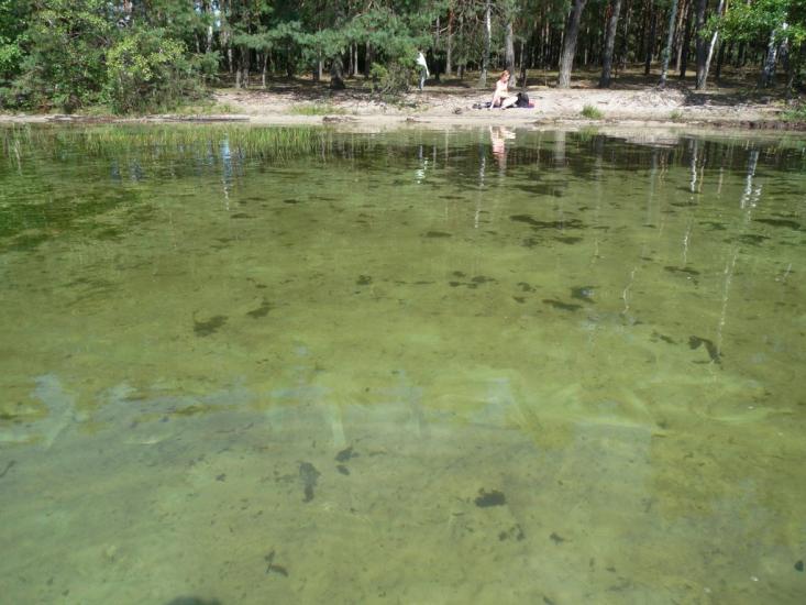Мельники з panoramio.com - Мельники