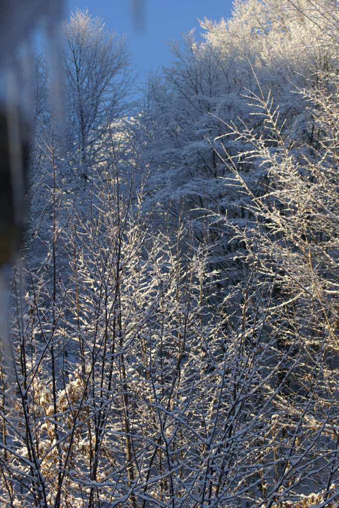 Виженка якою я ЇЇ бачу - Vyzhenka
