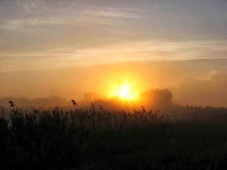 Таганка з panoramio.com - Таганка