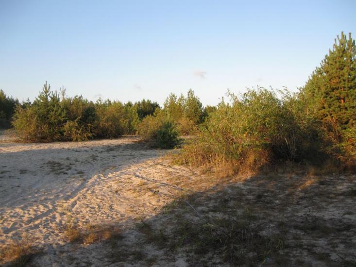 Ліпляве з panoramio.com - Лепляво