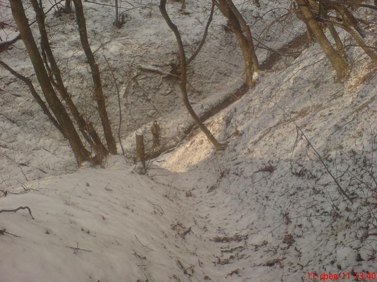 Краснодон з panoramio.com - Краснодон