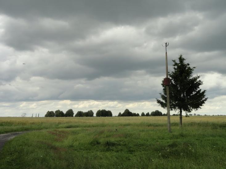 Незвір з panoramio.com - Незвір