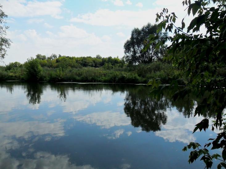 Васищеве з panoramio.com - Васищеве