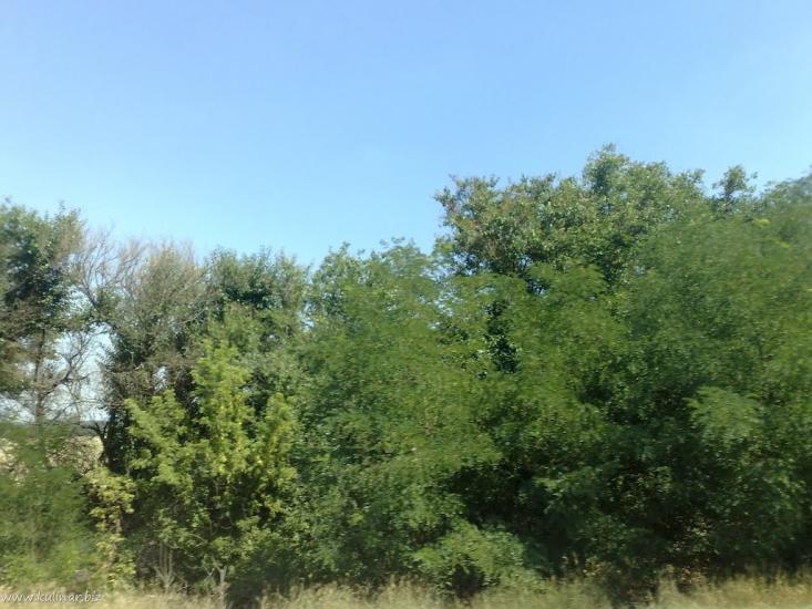 Верхня Криниця з panoramio.com - Верхня Криниця