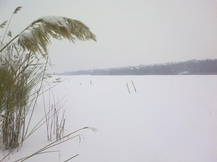 Новопетрівське з panoramio.com - Новопетровское
