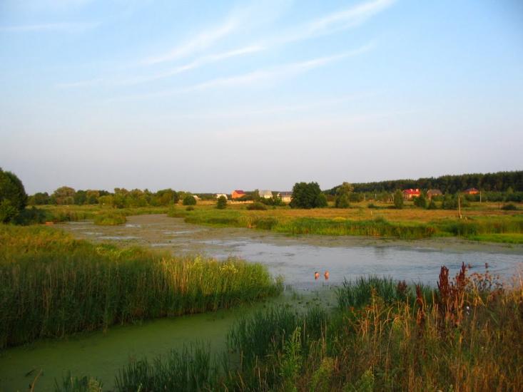 Рожів з panoramio.com - Рожев