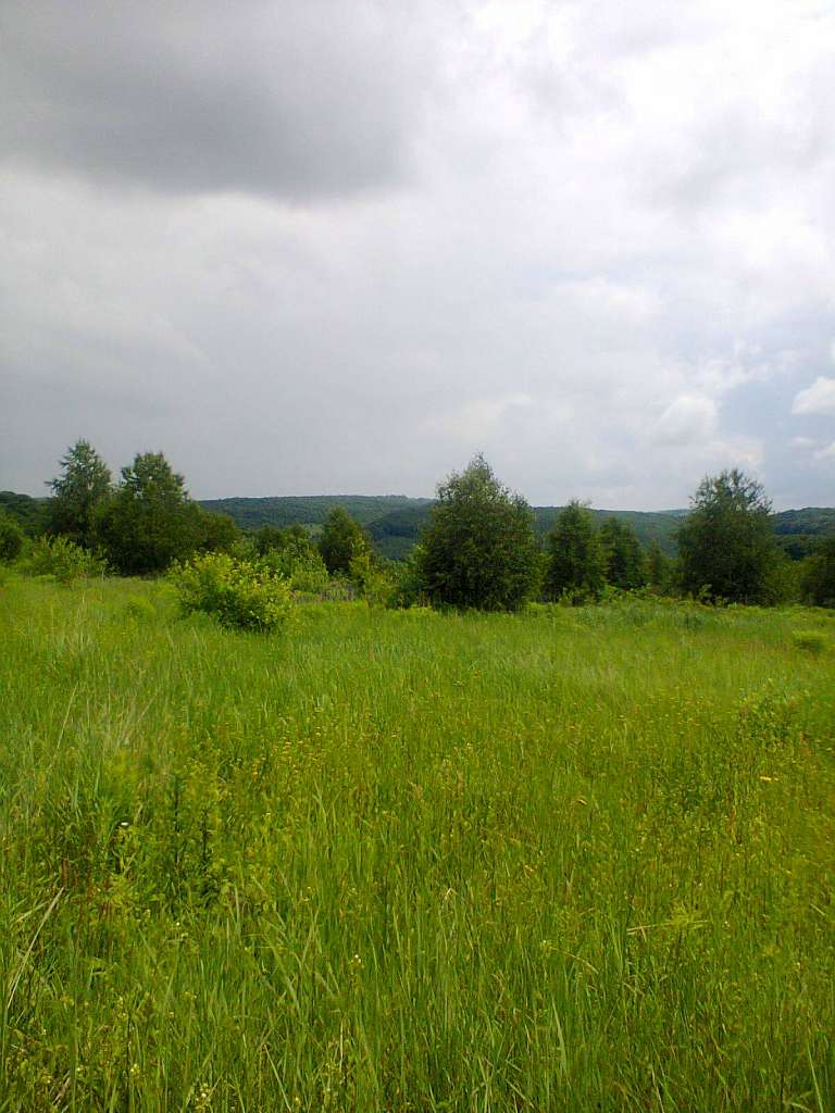 Краєвиди Лінії - Лінія