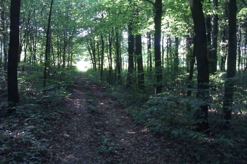 Заріцьк з panoramio.com - Заріцьк