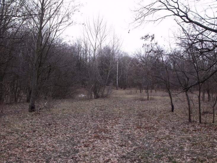 Гусина Поляна з panoramio.com - Гусина Поляна