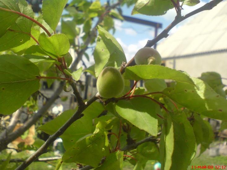 Салькове з panoramio.com - Сальково