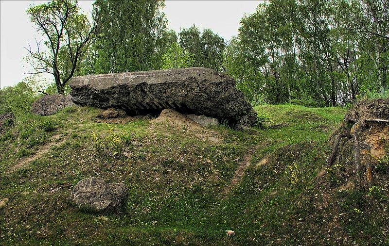 Білогородка з panoramio.com - Білогородка