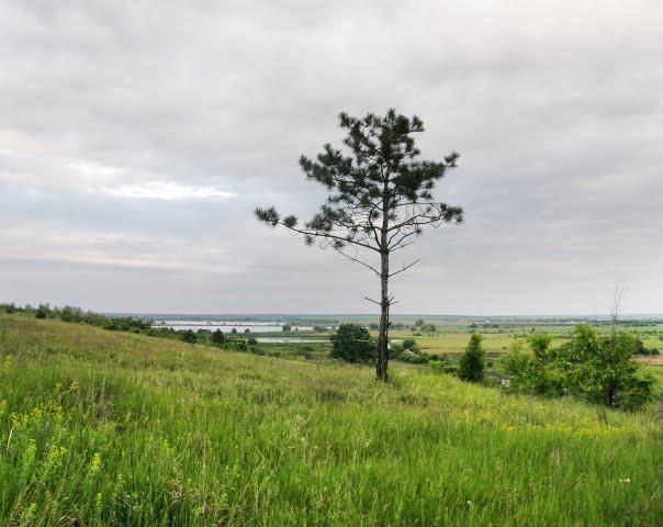 Софіївка з panoramio.com - Софиевка