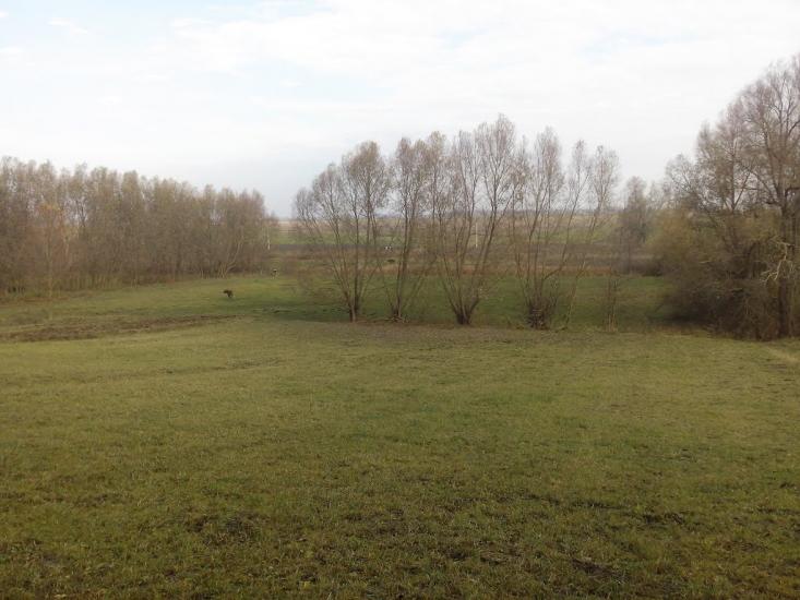 Сальниця з panoramio.com - Сальница