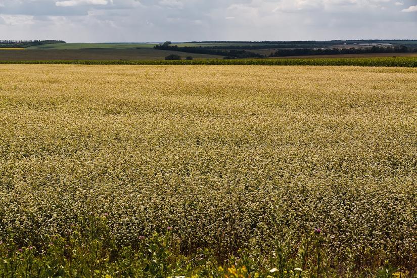 Хлібне з panoramio.com - Khlibne