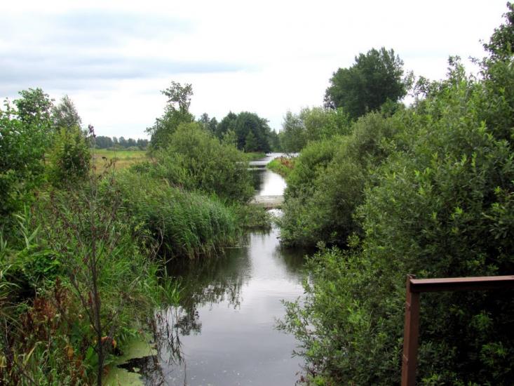 Кузнецовськ з panoramio.com - Вараш
