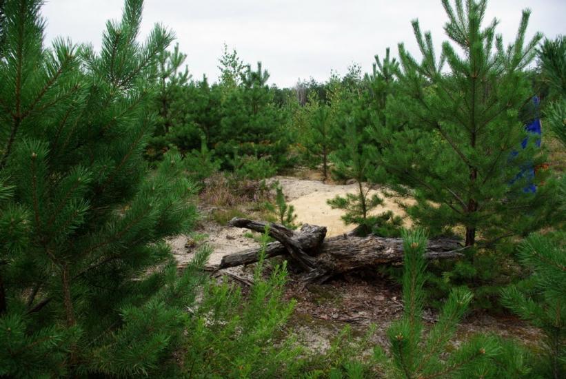 Клавдієво-Тарасове з panoramio.com - Клавдієво-Тарасове