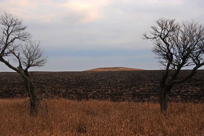 Нововасилівка з panoramio.com - Нововасилевка
