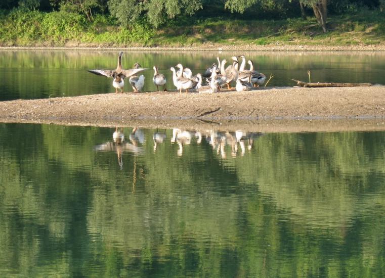 Устечко з panoramio.com - Устечко