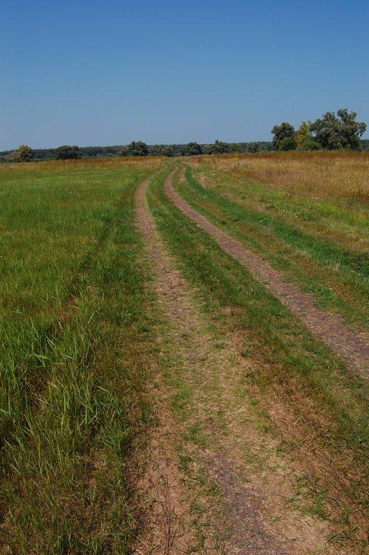 Таганка з panoramio.com - Таганка