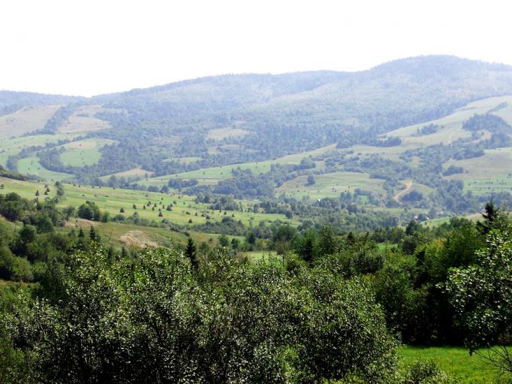 Плав'я з panoramio.com - Плавья