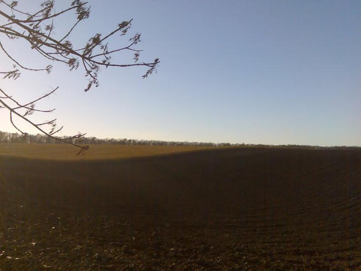Пашківці з panoramio.com - Pashkivtsi
