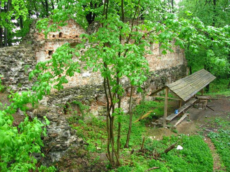 Добромиль з panoramio.com - Dobromyl