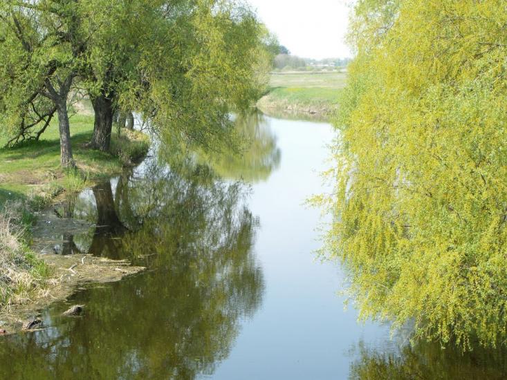 Дешки з panoramio.com - Дешки