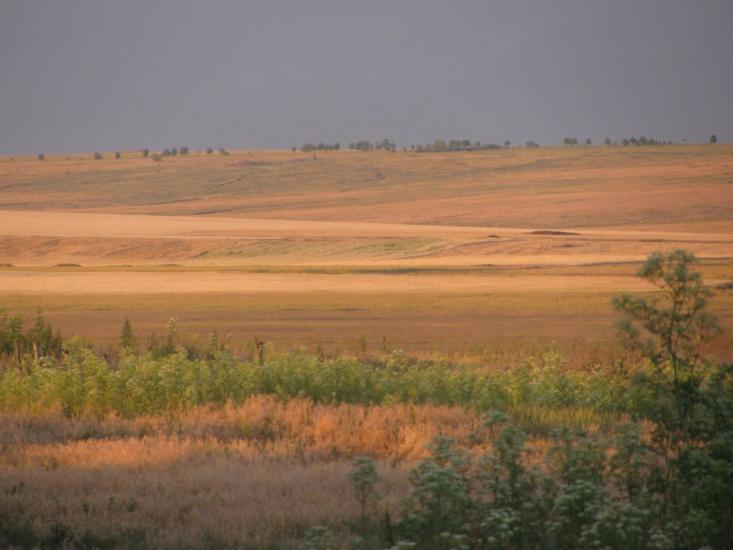 Весела Долина з panoramio.com - Весела Долина