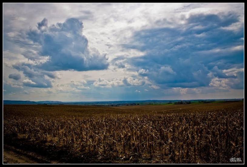 Заріцьк з panoramio.com - Зарецк