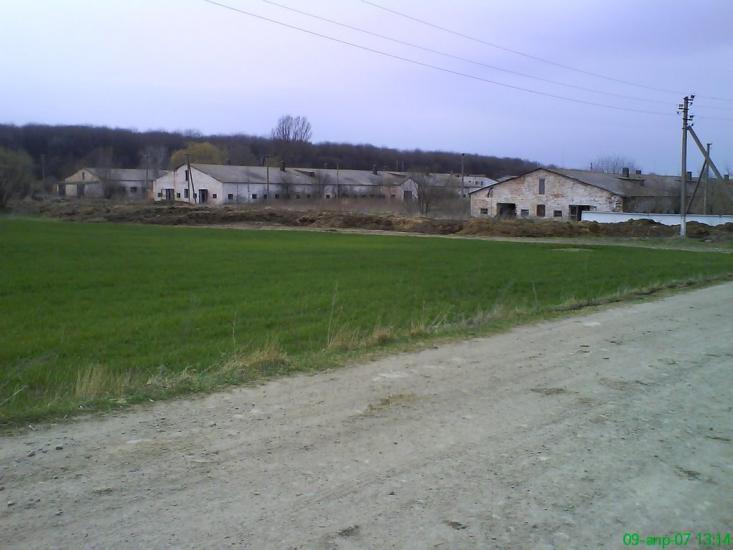 Дибинці з panoramio.com - Dybyntsi