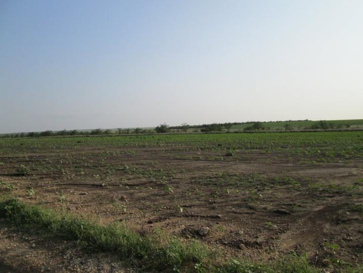 Єлизаветівка з panoramio.com - Єлизаветівка