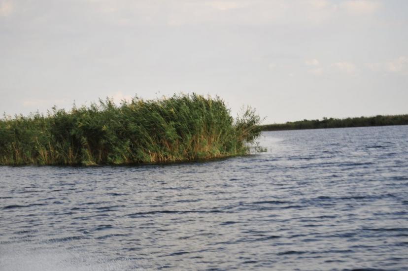 Кізомис з panoramio.com - Kizomys