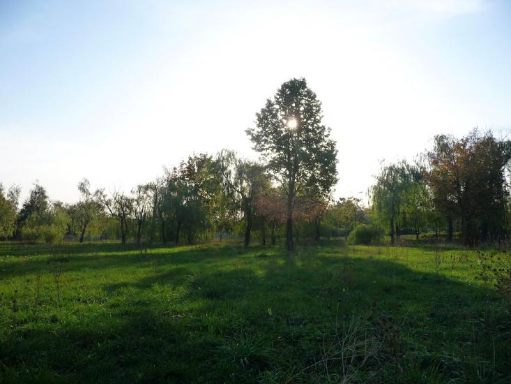 Бабаї з panoramio.com - Бабаи