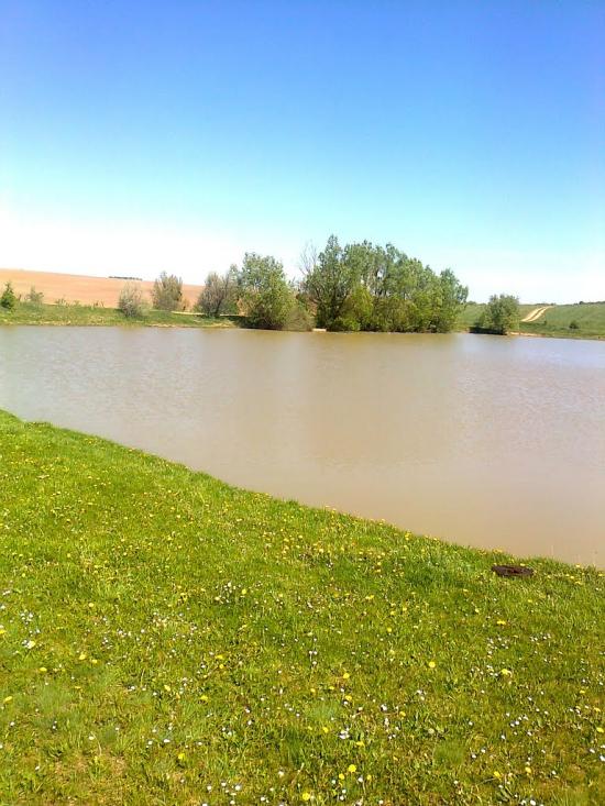 Блищанівка з panoramio.com - Блещановка