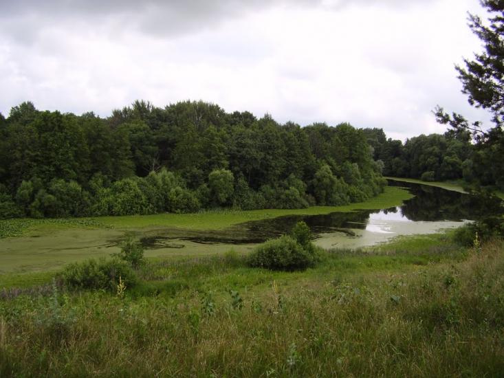 Райгородок з panoramio.com - Райгородок