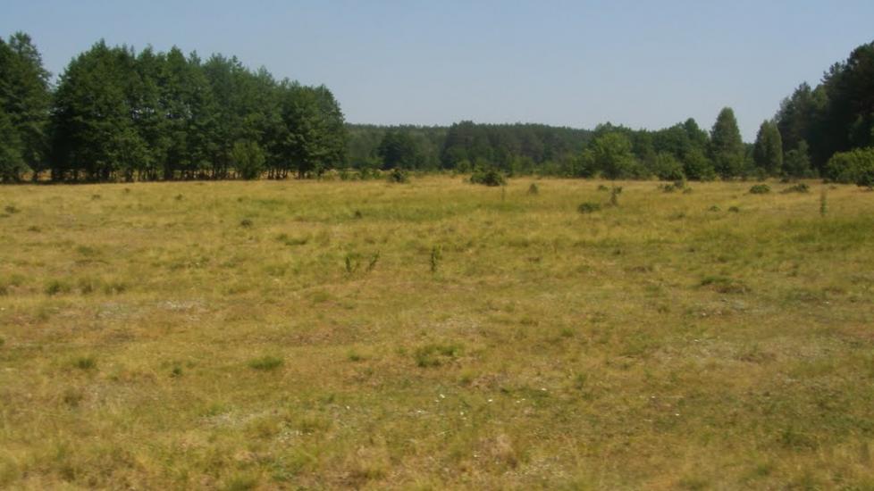 Машеве з panoramio.com - Машево