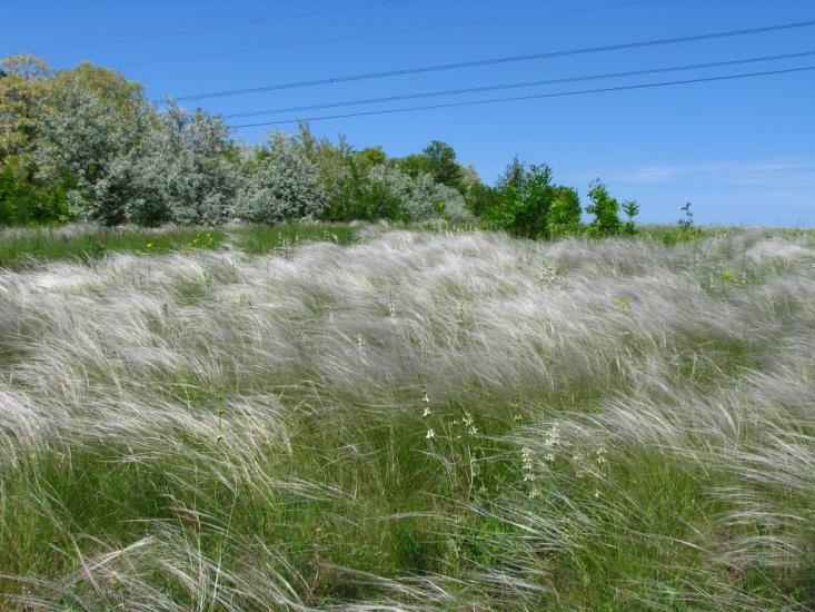 Першотравенськ з panoramio.com - Першотравенск