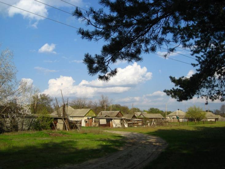 Рубці з panoramio.com - Рубцы