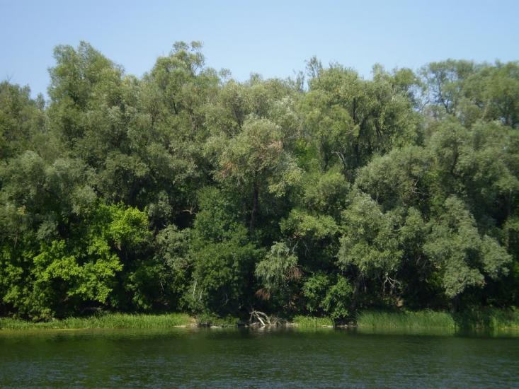 Великий Суходіл з panoramio.com - Великий Суходол