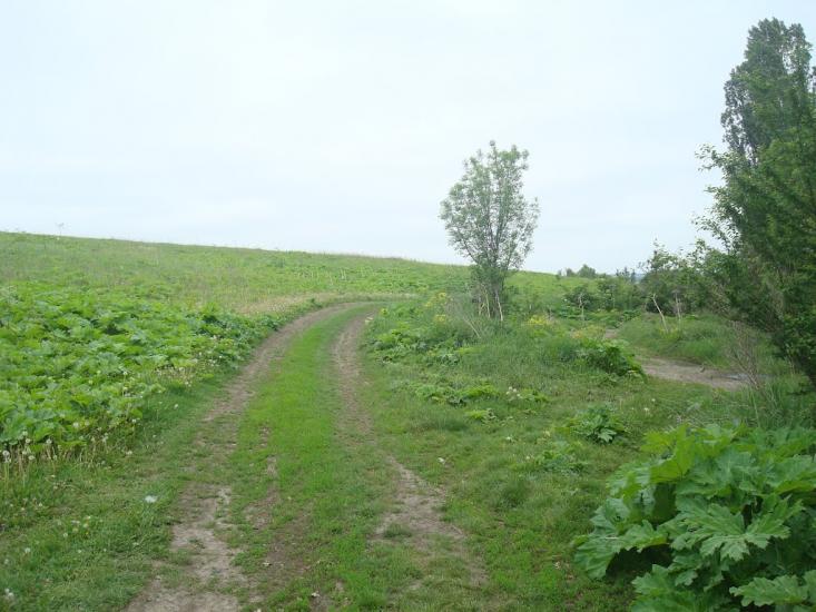 Шаровечка з panoramio.com - Sharovechka
