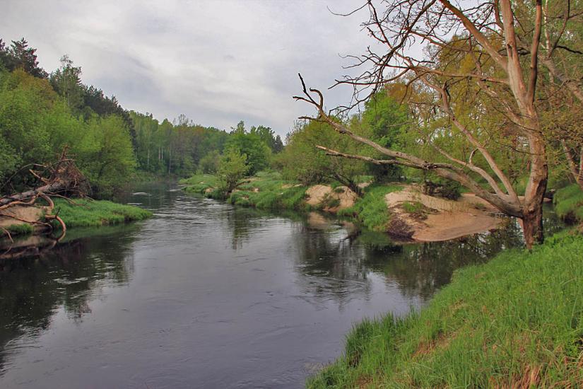 Сущани з panoramio.com - Сущаны