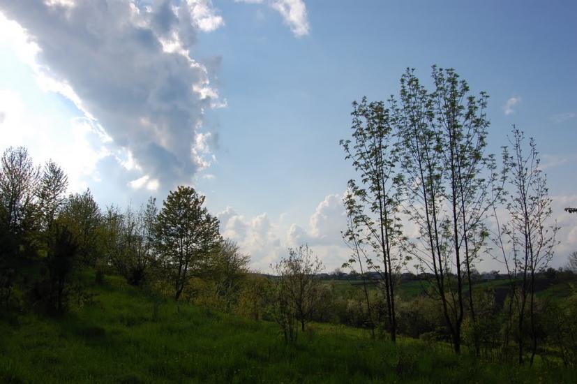 Кинашів з panoramio.com - Кинашів