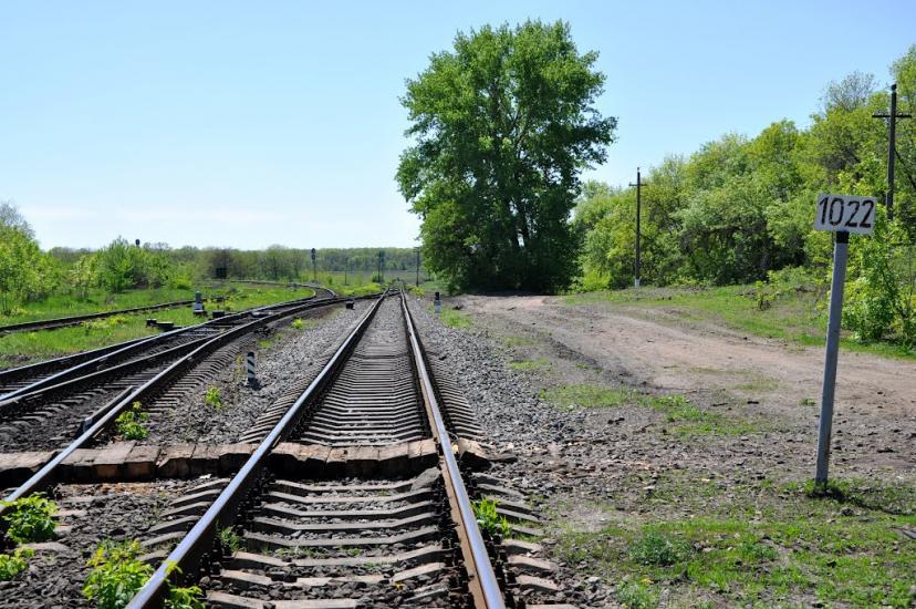 Новосімейкіне з panoramio.com - Новосемейкино