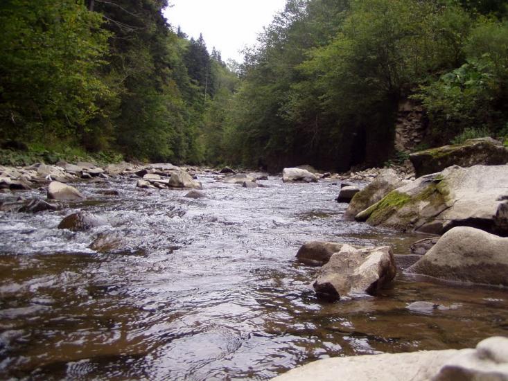 Буківцьово з panoramio.com - Буковцево